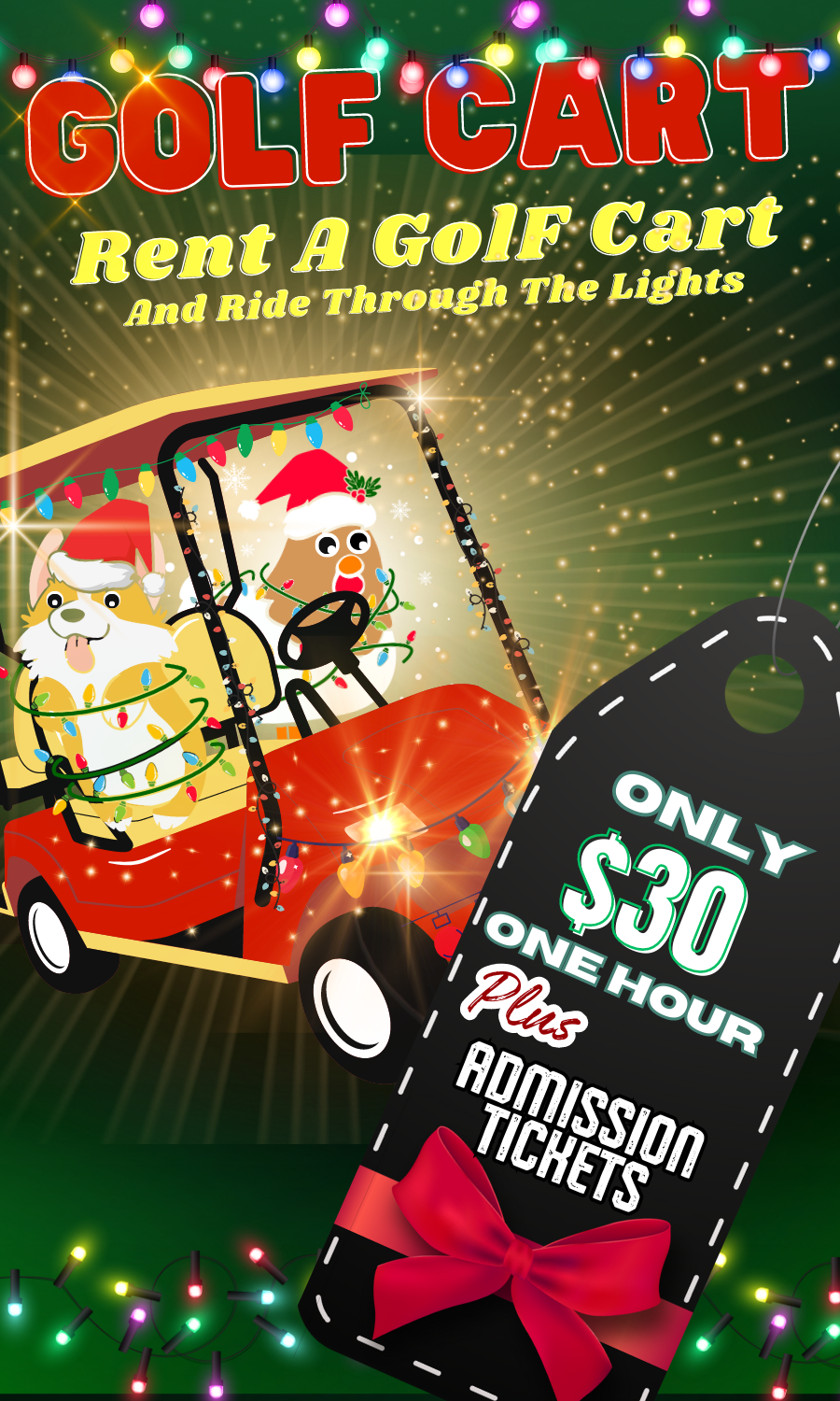 Suwannee Lights Over 12+ million lights!